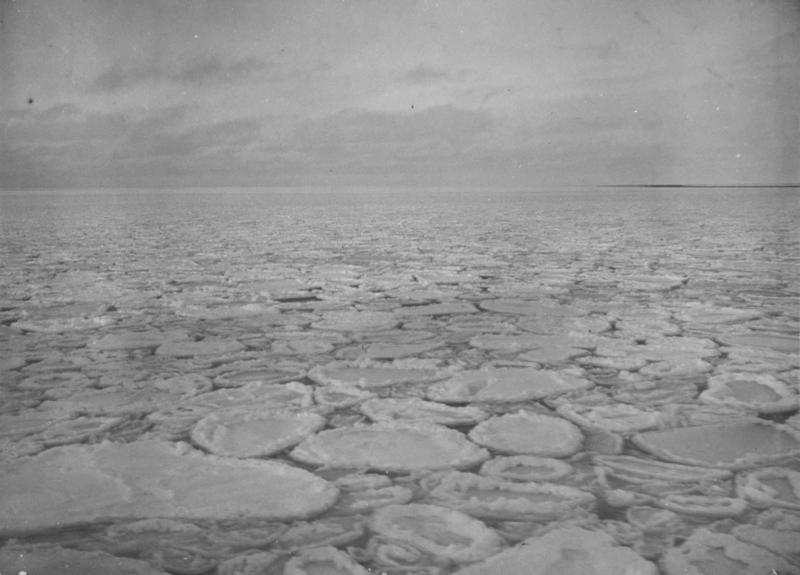 Photograph Pancake Ice Canterbury Museum