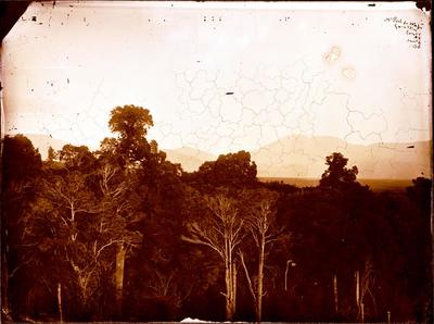 Glass Plate Negative: Mount Peel from Waitui, Geraldine