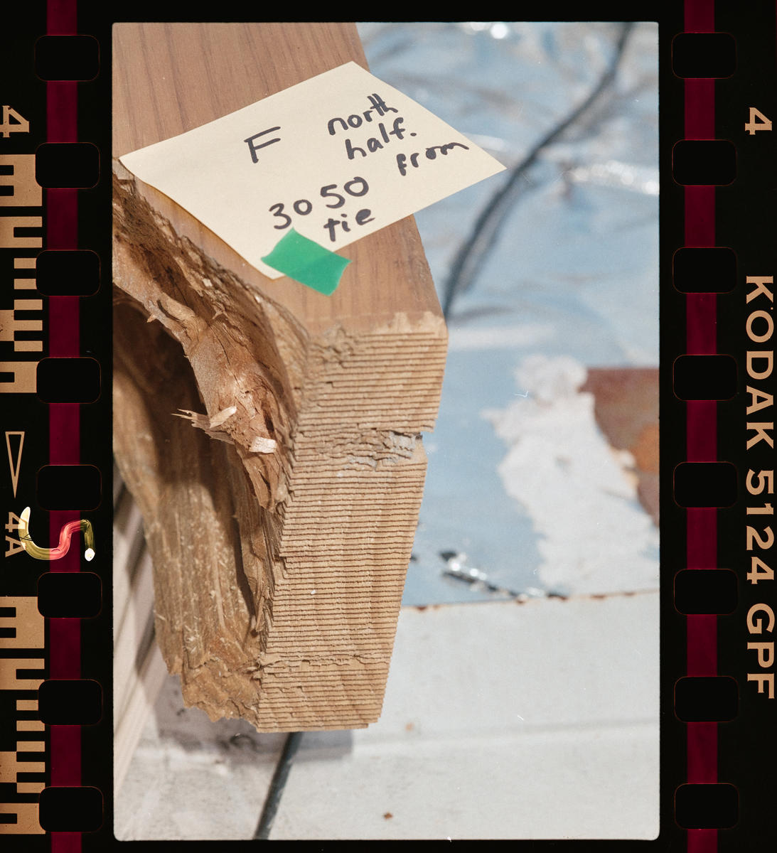Negative Alpine Ice Arena Roof Canterbury Museum