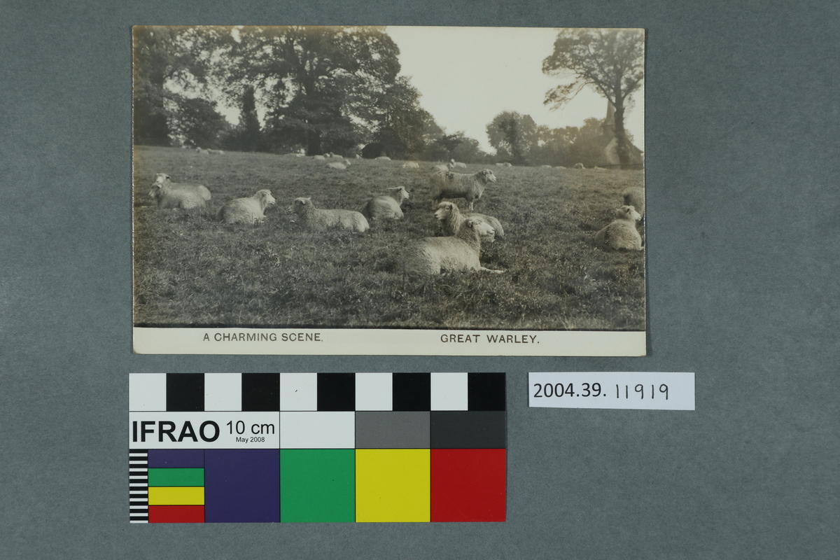 Postcard A Charming Scene, Great Warley Canterbury Museum