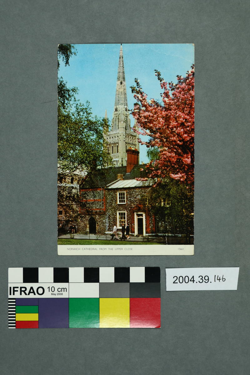 Postcard Norwich Cathedral From The Upper Close Canterbury Museum