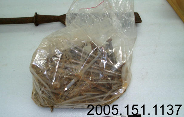 Nails: Flat Headed - Canterbury Museum